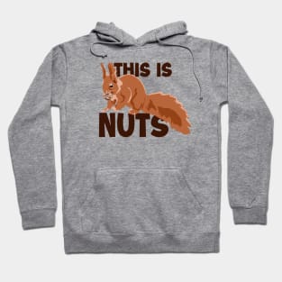 This Is Nuts Japanese Fox Eastern Gray Squirrel Hoodie